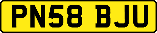 PN58BJU