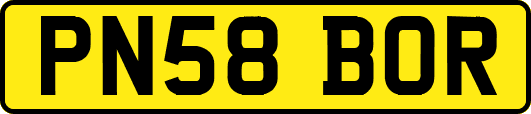 PN58BOR