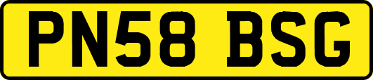 PN58BSG