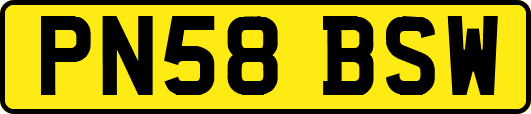 PN58BSW