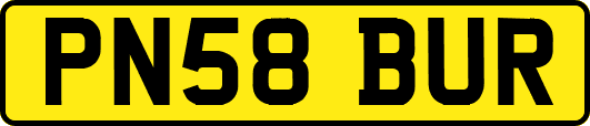 PN58BUR