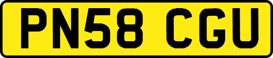 PN58CGU