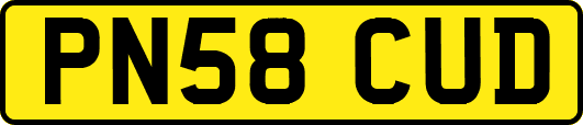 PN58CUD