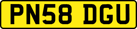 PN58DGU