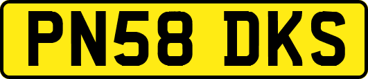 PN58DKS