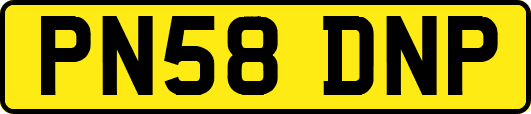PN58DNP