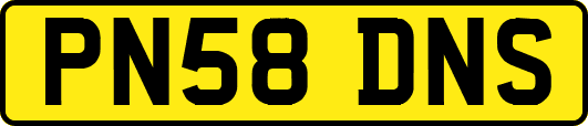 PN58DNS