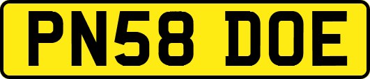 PN58DOE