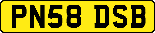 PN58DSB