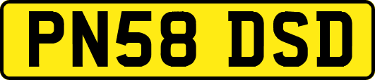 PN58DSD