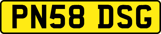 PN58DSG