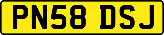 PN58DSJ