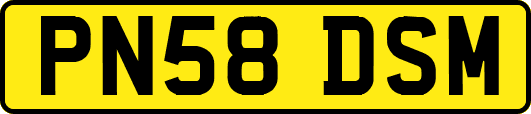 PN58DSM