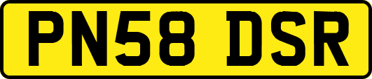 PN58DSR