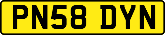 PN58DYN