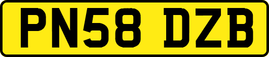 PN58DZB
