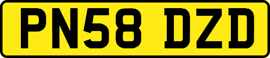 PN58DZD
