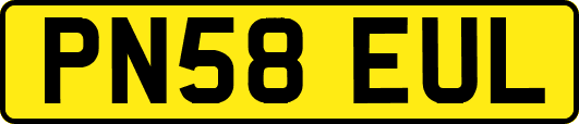PN58EUL