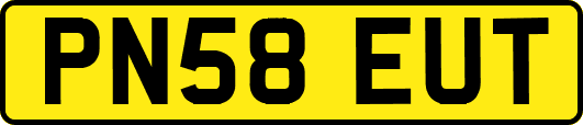 PN58EUT