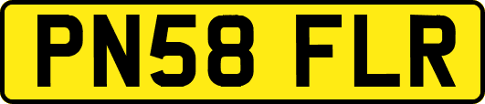 PN58FLR