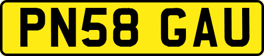 PN58GAU