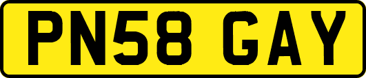 PN58GAY