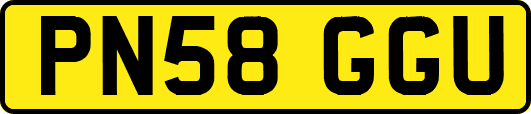 PN58GGU