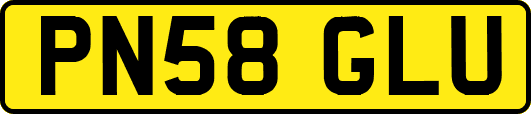 PN58GLU