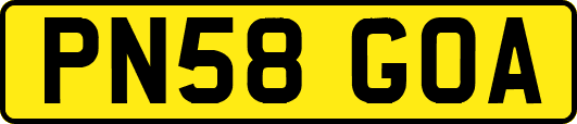PN58GOA