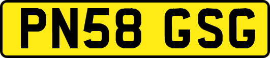 PN58GSG
