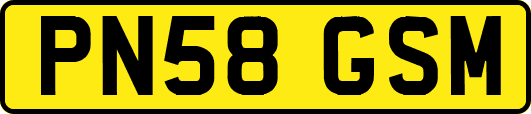 PN58GSM