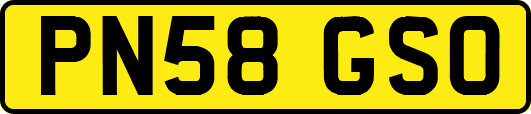PN58GSO