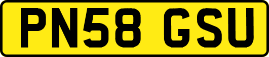 PN58GSU