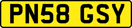PN58GSY