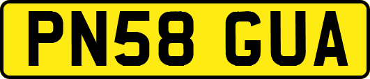PN58GUA
