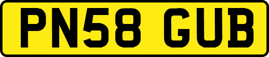 PN58GUB