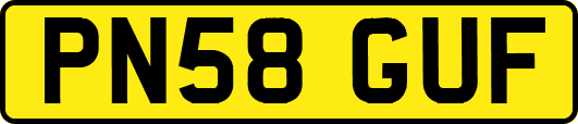 PN58GUF