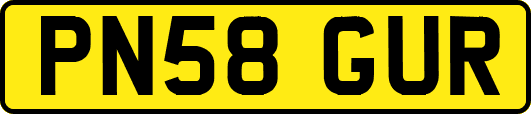 PN58GUR