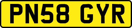 PN58GYR