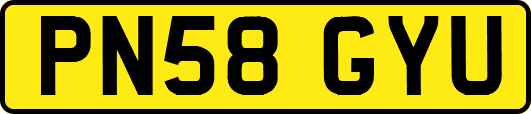 PN58GYU