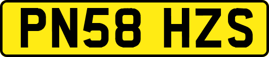 PN58HZS