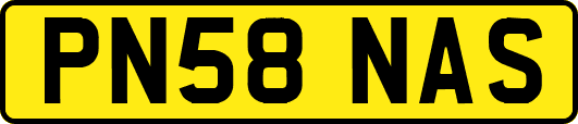 PN58NAS