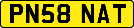 PN58NAT