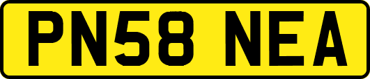 PN58NEA