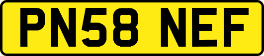 PN58NEF