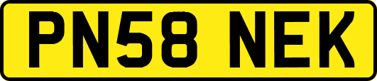 PN58NEK