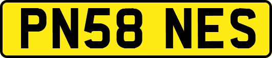 PN58NES
