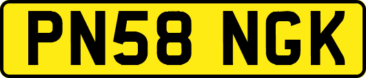 PN58NGK