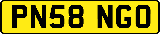 PN58NGO