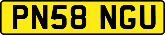 PN58NGU